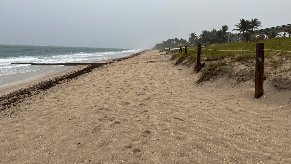 How Cannabis Fits Into Pain Management for Active Adults